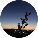 April Bergmann-Haro profile picture