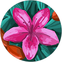 Dana Blair profile picture